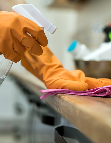 limpezas domésticas beiralimpa